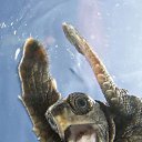 ���� �����, ������, 86 ��� - ��������� 19 ������ 2012