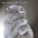 ���� Ju, �������� - ��������� 14 ������ 2013 � ������ �������