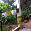 ���� Elbakal Omar, �����, 56 ��� - ��������� 29 ��� 2012 � ������ ���� ����������