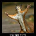 ���� �������, ����, 47 ��� - ��������� 9 ������� 2012 � ������ �������