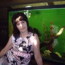  , -, 62  -  16  2013    