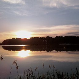 ���� �����, ����� - ��������� 16 �������� 2011