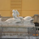 ...,  -  2  2012   , 