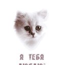 ���� Knoss, ������������, 26 ��� - ��������� 18 ������� 2009 � ������ �������� - �����������