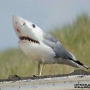 ���� ���������, ��������, 27 ��� - ��������� 27 ���� 2010 � ������ �1�