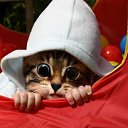 ���� �������, ����� - ��������� 14 ���� 2013 � ������ ���� ����������