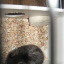 ���� (=����������=), ������, 31 ��� - ��������� 9 ������ 2012 � ������ �������(����) ��� ���� R.I.P.�