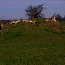 ���� ��op�, ����, 44 ���� - ��������� 25 ��� 2013 � ������ �Woburn Safari Park(Uk)�