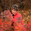  , , 68  -  12  2012    !!! 07.11.12.