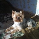  @Llena,  -  24  2012    