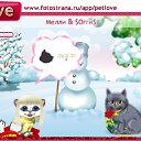  , , 30  -  11  2011   PetLove