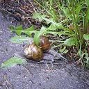  Sergey, , 69  -  14  2013