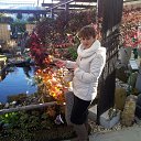 ���� ����, ����, 60 ��� - ��������� 7 ������� 2012 � ������ ���� ����������