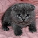 � ����� �������� ���� vk.com/fotiko �� ������� �������