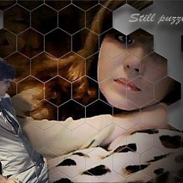 ���� ����, ����� - ��������� 5 ������� 2011