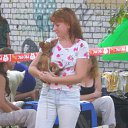 ���� �����, �����, 46 ��� - ��������� 17 ������� 2012 � ������ ���� �������