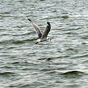 ���� ����, �������-��������� - ��������� 9 ��� 2011 � ������ ���� �������.�