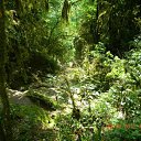 ���� �������, ����, 46 ��� - ��������� 1 ��� 2012 � ������ ����������� �������-�.����-�������� �������