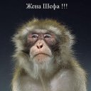 ���� �����, ������ �����, 50 ��� - ��������� 27 ������� 2009 � ������ ���������������