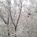 ���� ����, ������, 35 ��� - ��������� 10 ���� 2012 � ������ �������