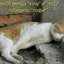 ���� ������, ������, 27 ��� - ��������� 23 �������� 2011 � ������ �������