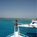 ���� �����, ��������� - ��������� 8 ������� 2011 � ������ ���� ����������