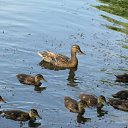 ���� ��������, ������ - ��������� 11 �������� 2011 � ������ �������� ����˨���