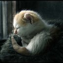 ���� ����� - ���������� ��������!!!, �����������, 56 ��� - ��������� 31 ������� 2009 � ������ �����Ȼ