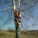 ���� ������, �����������, 53 ���� - ��������� 22 ������ 2011 � ������ �� � ����� �������� � �����