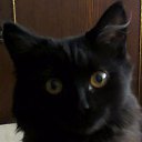 ��� �������� � ������ �����