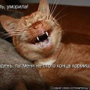 ���� ������, �����������, 66 ��� - ��������� 20 ����� 2012 � ������ ���� ����������