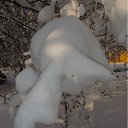 ���� �������, ����, 49 ��� - ��������� 24 ������ 2012 � ������ ���� ����������