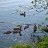 ���� ���������, ��������� - ��������� 27 ����� 2013