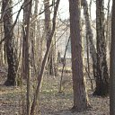 ���� �����, ������, 51 ��� - ��������� 20 ������� 2010 � ������ ������ � ��� ����������