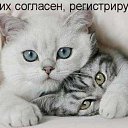 ���� ��������, ��������, 60 ��� - ��������� 21 ���� 2013 � ������ ��� ���� ��...�