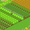 ���� ������, ��������, 22 ���� - ��������� 15 ������ 2011 � ������ ������� �������