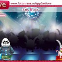  ion@(   ),  -  12  2011   PetLove