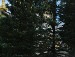 ������ ���� ���������� ����������: http://vkontakte.ru/app1804165 �� ������� ���� ����������