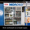  , , 43  -  12  2009   .....