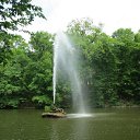 ���� ��������, ���������, 43 ���� - ��������� 31 ��� 2012 � ������ ���� ����������
