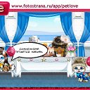 ���� ����, �����������, 58 ��� - ��������� 4 ���� 2011 � ������ �PetLove�