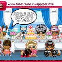 ���� ��������*���*, ������, 41 ��� - ��������� 9 ������� 2011 � ������ �PetLove�