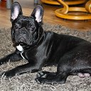 ���� Alex, �����������, 48 ��� - ��������� 13 ��� 2012 � ������ ���� ����������