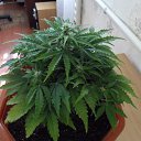 ���� ����, ������, 40 ��� - ��������� 28 ������ 2011 � ������ ���� ����������