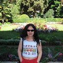  , , 33  -  15  2009   . .  