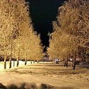 ���� �����, ���, 38 ��� - ��������� 20 ������� 2011 � ������ �������