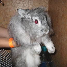 ���� �, ��������, 42 ���� - ��������� 28 ������� 2012