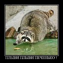 ���� Aksi=))), ������ - ��������� 20 ����� 2010 � ������ �...no comments��