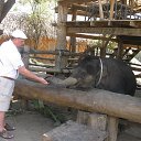 ���� ���������, ������������, 66 ��� - ��������� 10 ������ 2013