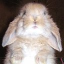 ���� Persidana, �������, 41 ��� - ��������� 10 ������� 2010 � ������ ������